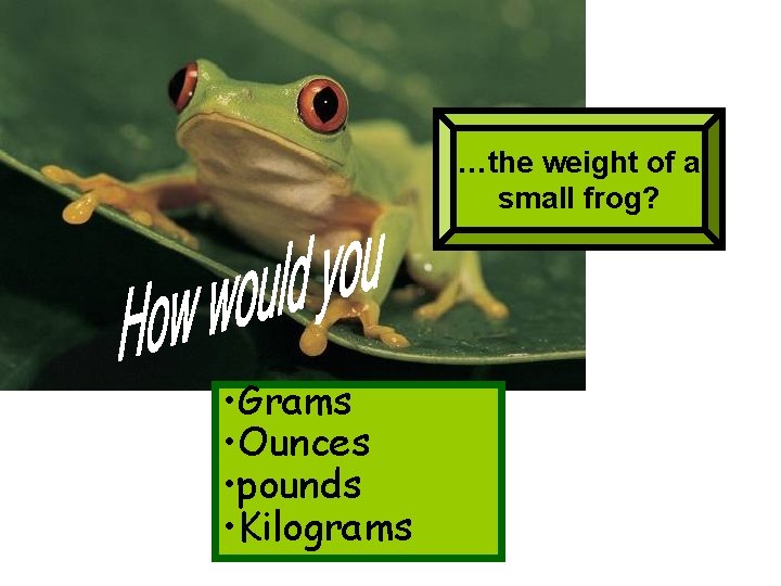 …the weight of a small frog? • Grams • Ounces • pounds • Kilograms