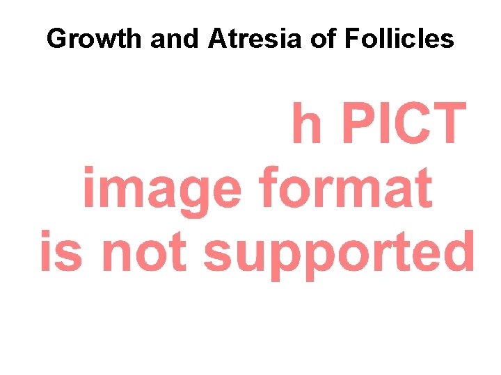 Growth and Atresia of Follicles 
