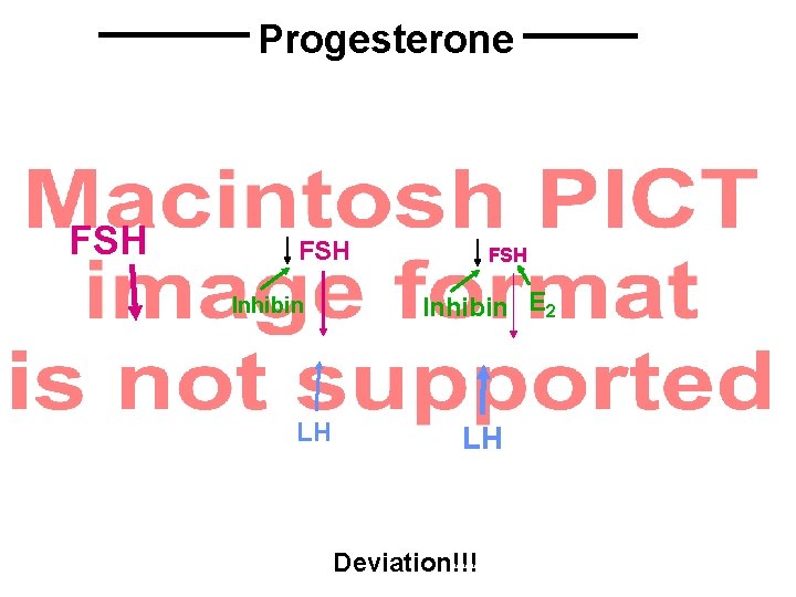 Progesterone FSH Inhibin LH FSH Inhibin E 2 LH Deviation!!! 