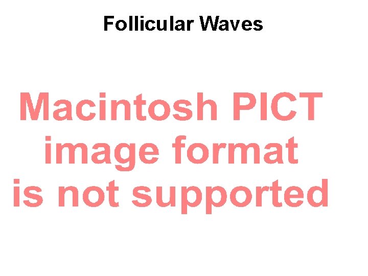 Follicular Waves 