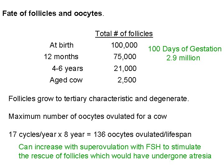 Fate of follicles and oocytes. Total # of follicles At birth 100, 000 12