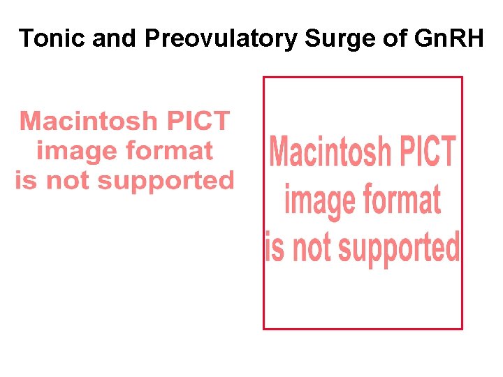 Tonic and Preovulatory Surge of Gn. RH 