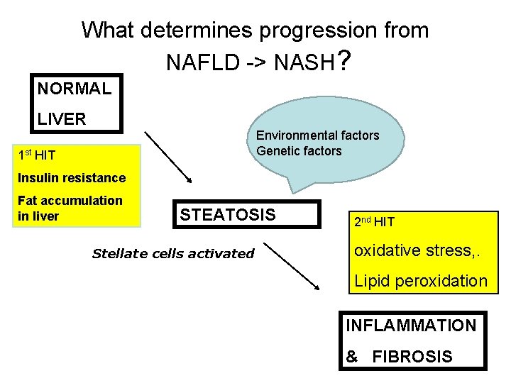 What determines progression from NAFLD -> NASH? NORMAL LIVER Environmental factors Genetic factors 1