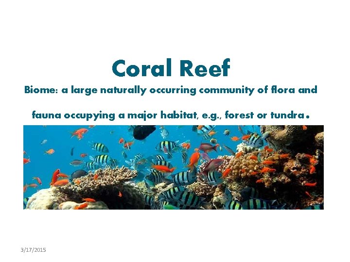 Coral Reef Biome: a large naturally occurring community of flora and fauna occupying a
