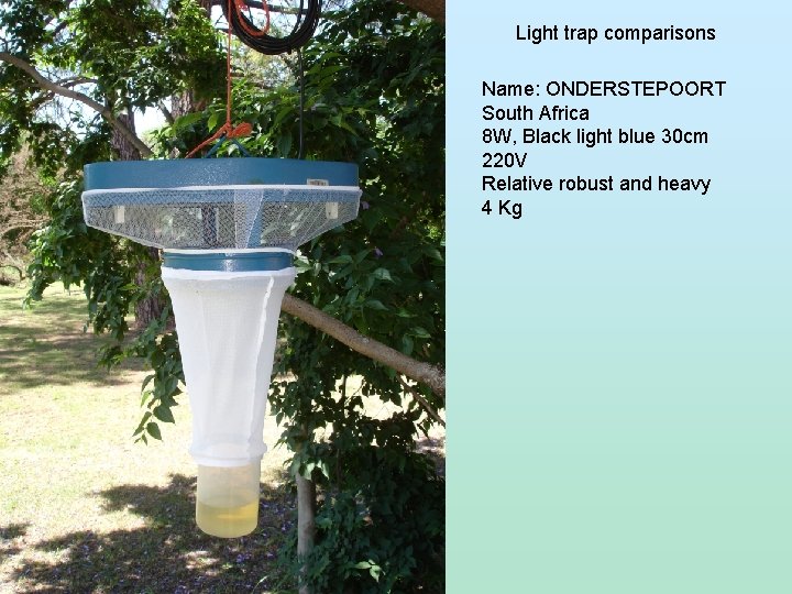 Light trap comparisons Name: ONDERSTEPOORT South Africa 8 W, Black light blue 30 cm