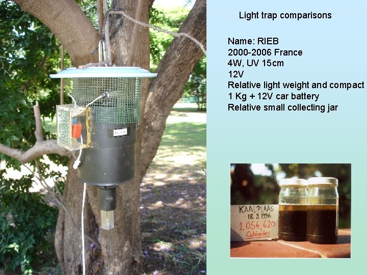 Light trap comparisons Name: RIEB 2000 -2006 France 4 W, UV 15 cm 12