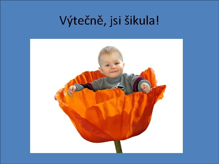 Výtečně, jsi šikula! 