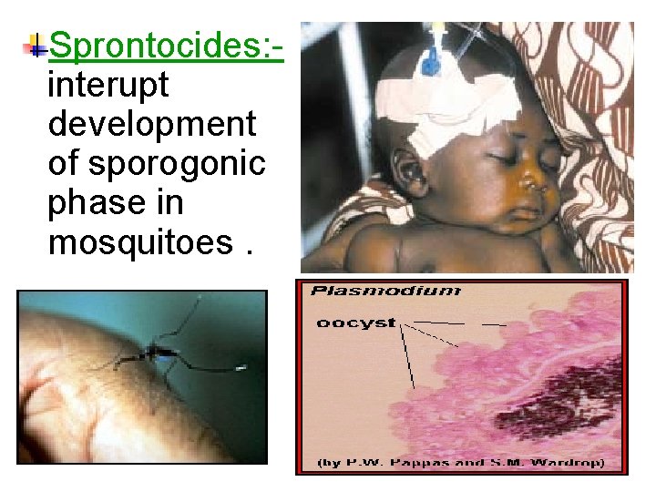 Sprontocides: interupt development of sporogonic phase in mosquitoes. 