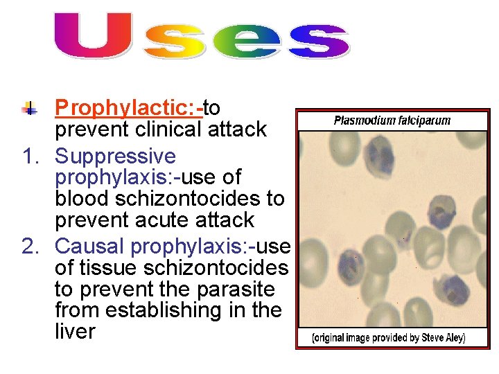 Prophylactic: -to prevent clinical attack 1. Suppressive prophylaxis: -use of blood schizontocides to prevent