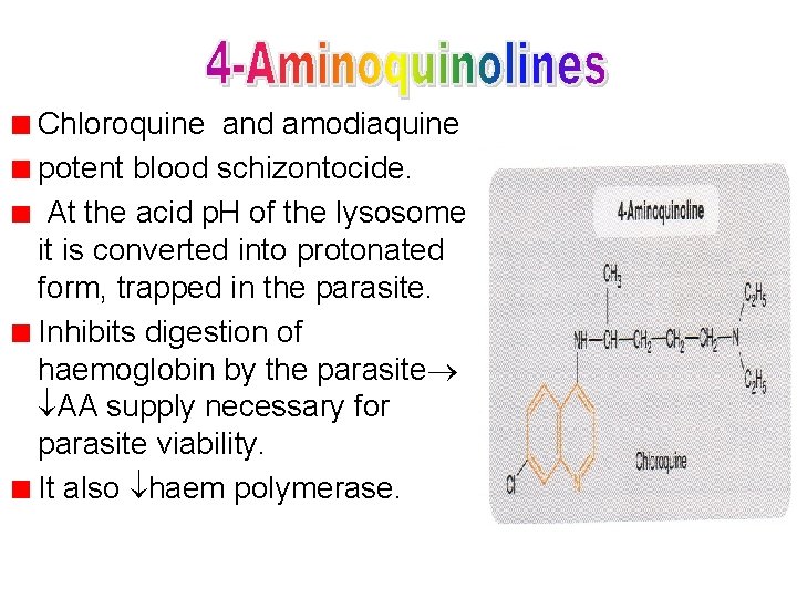 Chloroquine and amodiaquine potent blood schizontocide. At the acid p. H of the lysosome