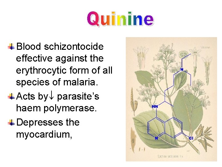Blood schizontocide effective against the erythrocytic form of all species of malaria. Acts by