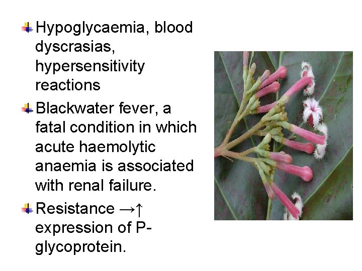 Hypoglycaemia, blood dyscrasias, hypersensitivity reactions Blackwater fever, a fatal condition in which acute haemolytic