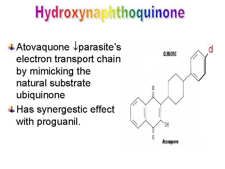 Atovaquone parasite’s electron transport chain by mimicking the natural substrate ubiquinone Has synergestic effect