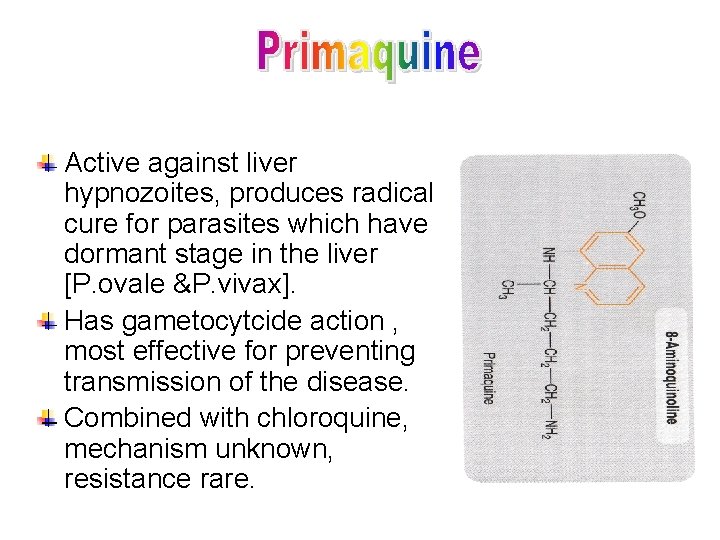 Active against liver hypnozoites, produces radical cure for parasites which have dormant stage in