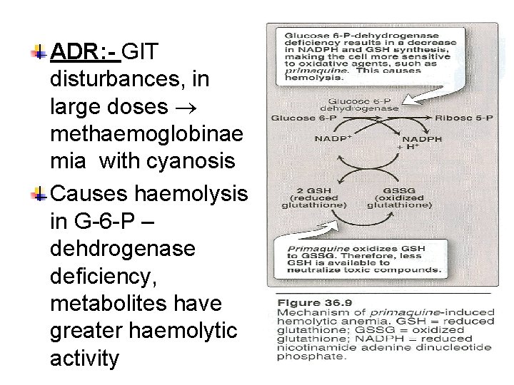 ADR: - GIT disturbances, in large doses methaemoglobinae mia with cyanosis Causes haemolysis in
