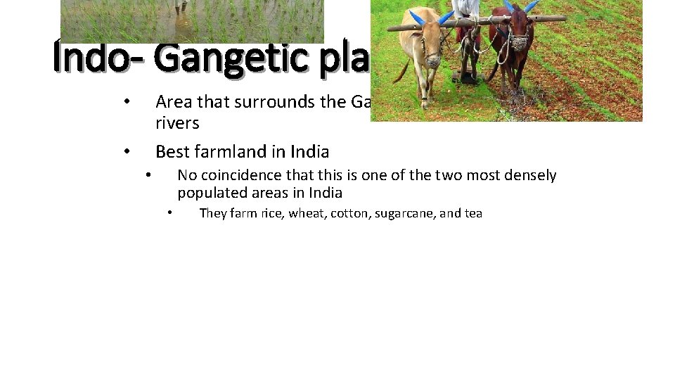 Indo- Gangetic plain Area that surrounds the Ganges and Brahmaputra rivers Best farmland in