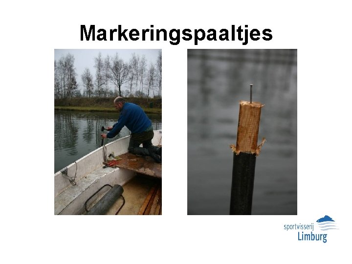 Markeringspaaltjes 