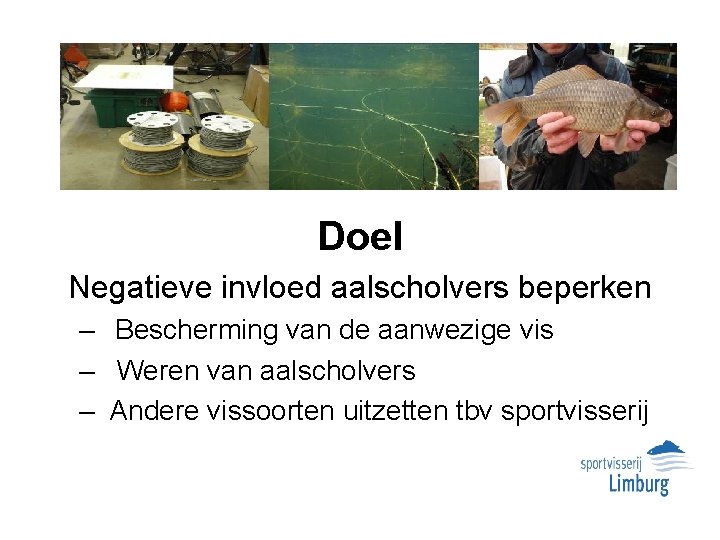 Doel Negatieve invloed aalscholvers beperken – Bescherming van de aanwezige vis – Weren van