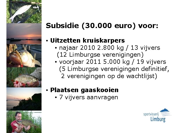 Subsidie (30. 000 euro) voor: • Uitzetten kruiskarpers • najaar 2010 2. 800 kg