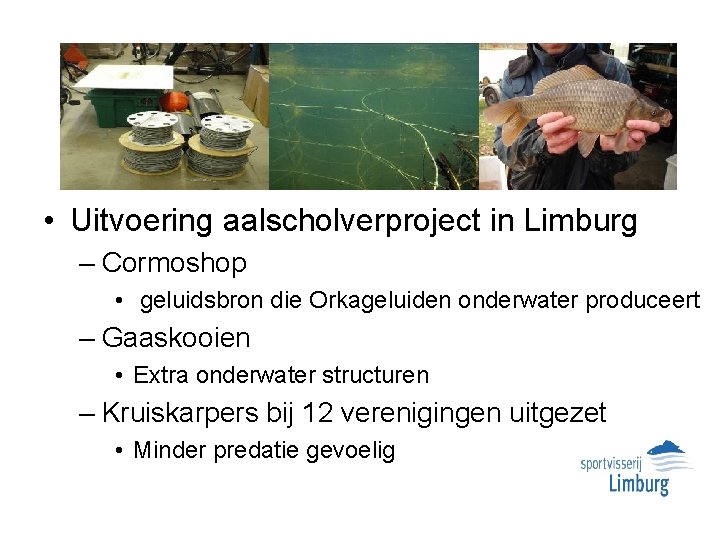  • Uitvoering aalscholverproject in Limburg – Cormoshop • geluidsbron die Orkageluiden onderwater produceert