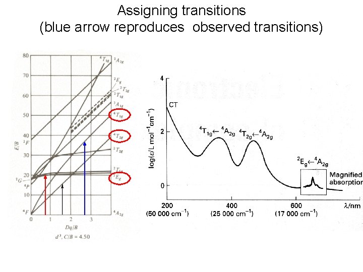 Assigning transitions (blue arrow reproduces observed transitions) 