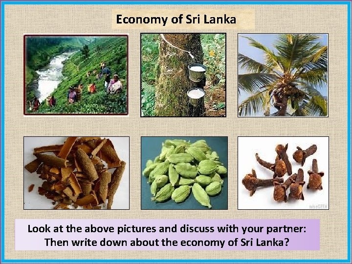 Economy of Sri Lanka Look at the above pictures and discuss with your partner: