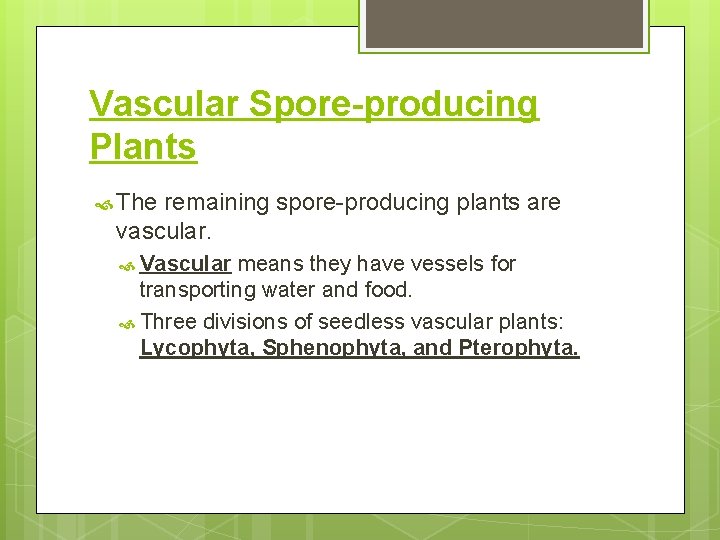 Vascular Spore-producing Plants The remaining spore-producing plants are vascular. Vascular means they have vessels