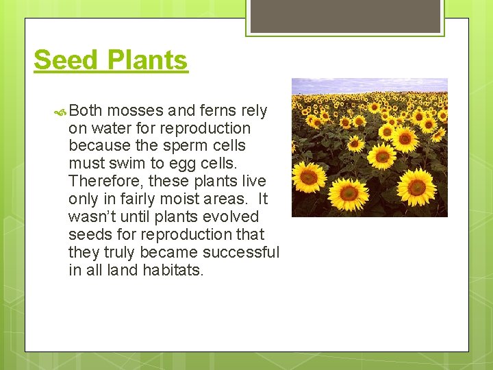 Seed Plants Both mosses and ferns rely on water for reproduction because the sperm