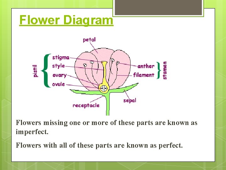 Flower Diagram Flowers missing one or more of these parts are known as imperfect.