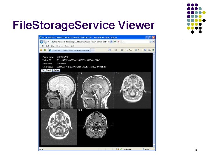 File. Storage. Service Viewer 12 