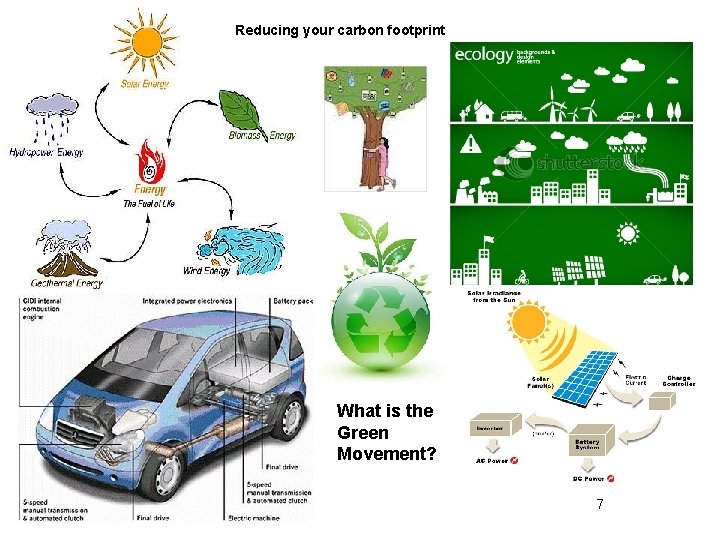 Reducing your carbon footprint What is the Green Movement? 7 