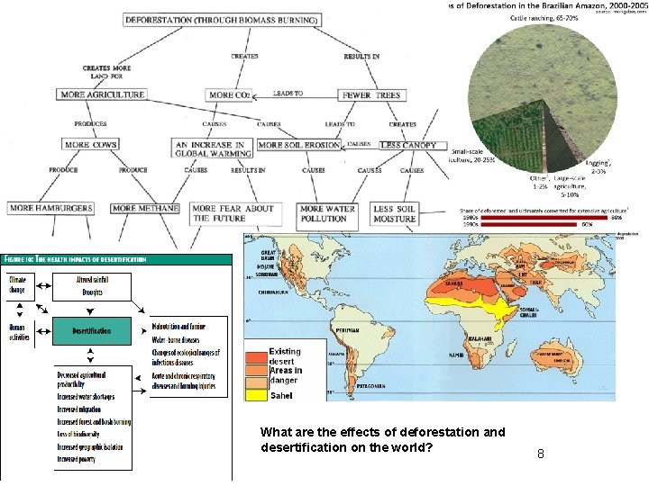 What are the effects of deforestation and desertification on the world? 8 