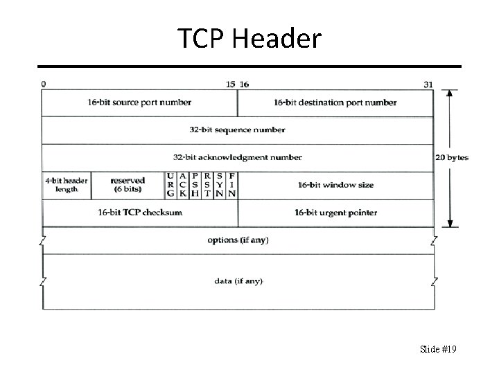 TCP Header Slide #19 