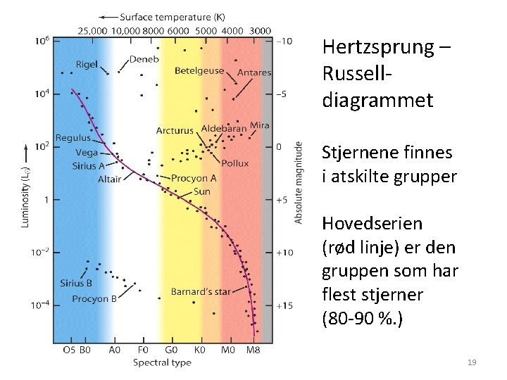 Hertzsprung – Russelldiagrammet Stjernene finnes i atskilte grupper Hovedserien (rød linje) er den gruppen