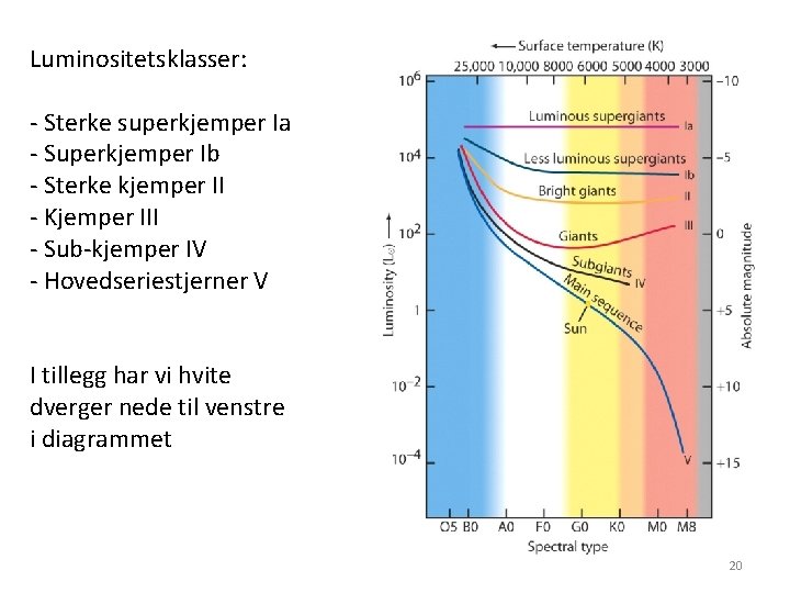 Luminositetsklasser: - Sterke superkjemper Ia - Superkjemper Ib - Sterke kjemper II - Kjemper