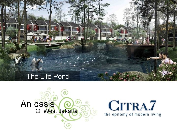 The Life Pond An oasis Of West Jakarta 