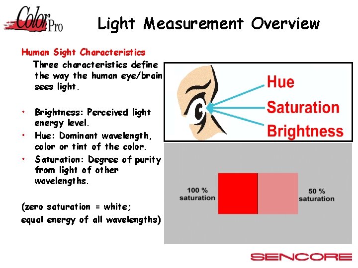 Light Measurement Overview Human Sight Characteristics Three characteristics define the way the human eye/brain