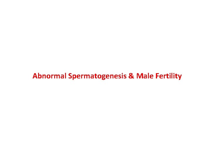 Abnormal Spermatogenesis & Male Fertility 