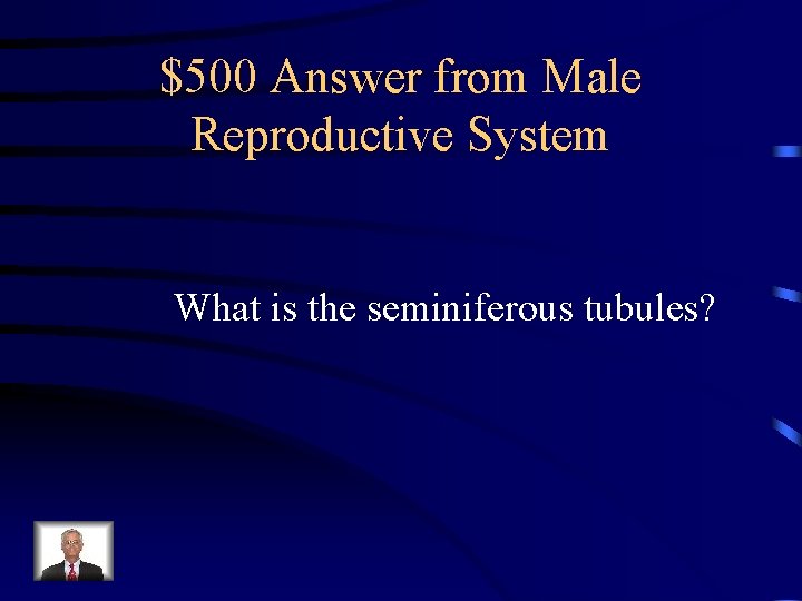 $500 Answer from Male Reproductive System What is the seminiferous tubules? $500 Answer from Male Reproductive System What is the seminiferous tubules?