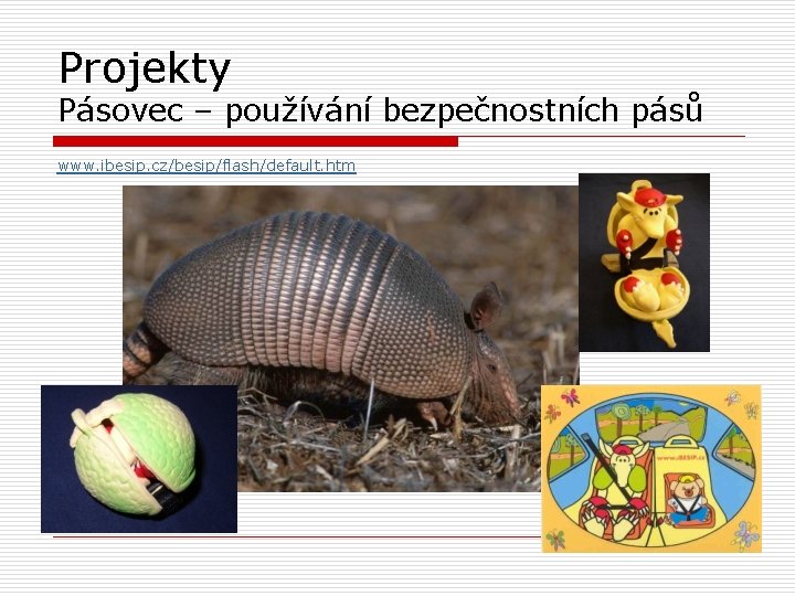 Projekty Pásovec – používání bezpečnostních pásů www. ibesip. cz/besip/flash/default. htm 