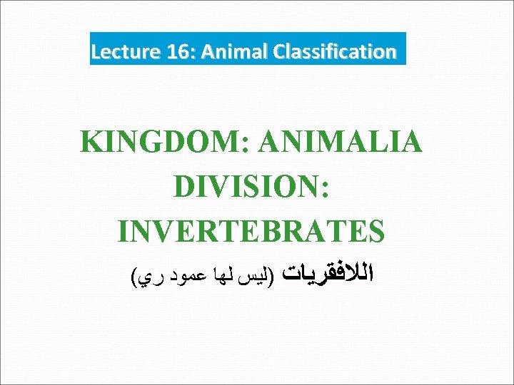 Lecture 16: Animal Classification KINGDOM: ANIMALIA DIVISION: INVERTEBRATES ( ﺍﻟﻼﻓﻘﺮﻳﺎﺕ )ﻟﻴﺲ ﻟﻬﺎ ﻋﻤﻮﺩ ﺭﻱ