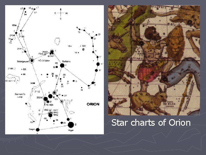 Star charts of Orion 