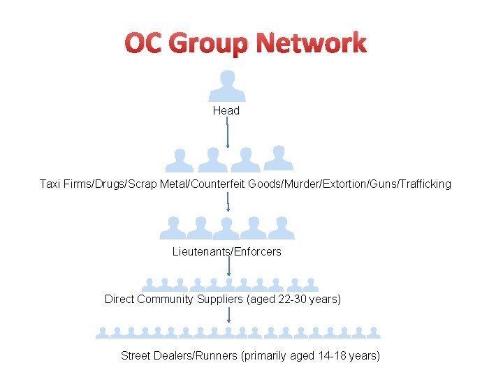 OC Group Network Head Taxi Firms/Drugs/Scrap Metal/Counterfeit Goods/Murder/Extortion/Guns/Trafficking Lieutenants/Enforcers Direct Community Suppliers (aged 22