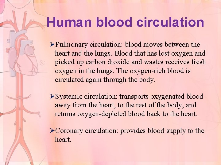 Human blood circulation ØPulmonary circulation: blood moves between the heart and the lungs. Blood