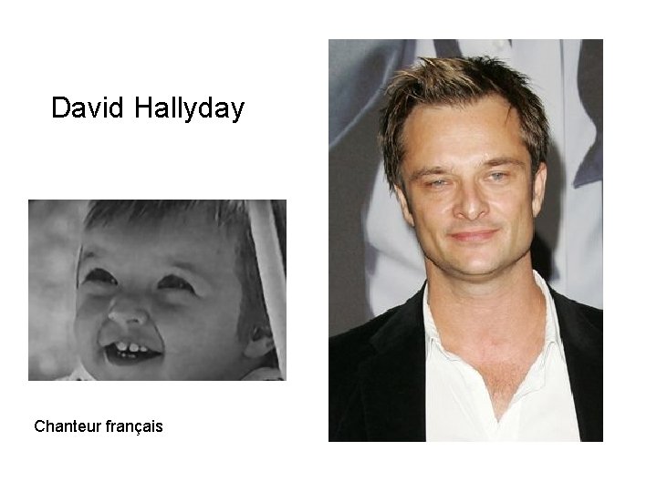 David Hallyday Chanteur français 