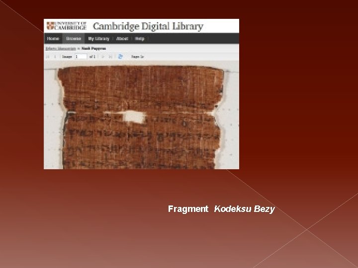 Fragment Kodeksu Bezy 