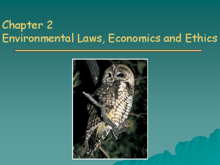 Chapter 2 Environmental Laws, Economics and Ethics 