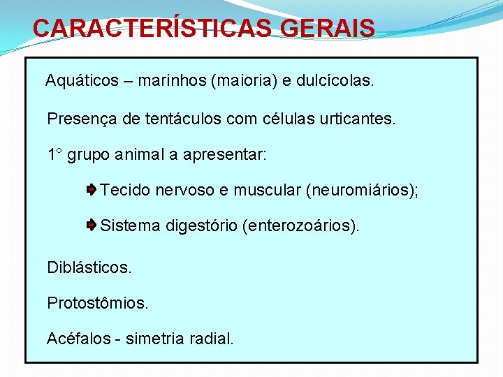 CARACTERÍSTICAS GERAIS Aquáticos – marinhos (maioria) e dulcícolas. Presença de tentáculos com células urticantes.