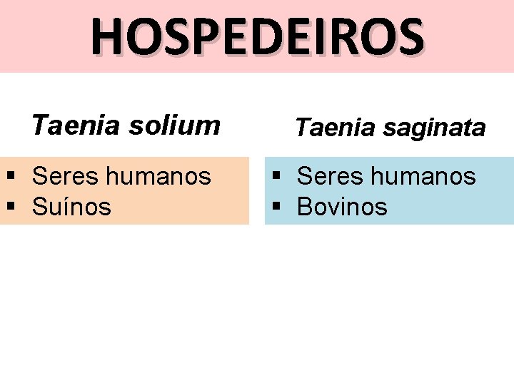 HOSPEDEIROS Taenia solium § Seres humanos § Suínos Taenia saginata § Seres humanos §