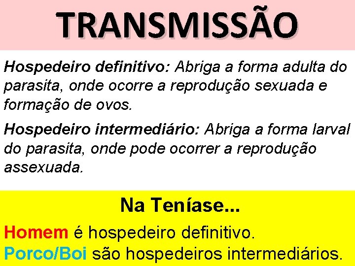 TRANSMISSÃO Hospedeiro definitivo: Abriga a forma adulta do parasita, onde ocorre a reprodução sexuada